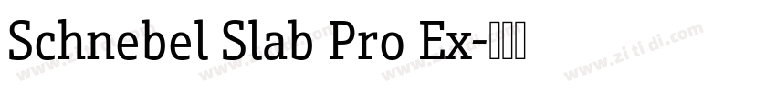 Schnebel Slab Pro Ex字体转换 Schnebel Slab Pro Ex字体转换